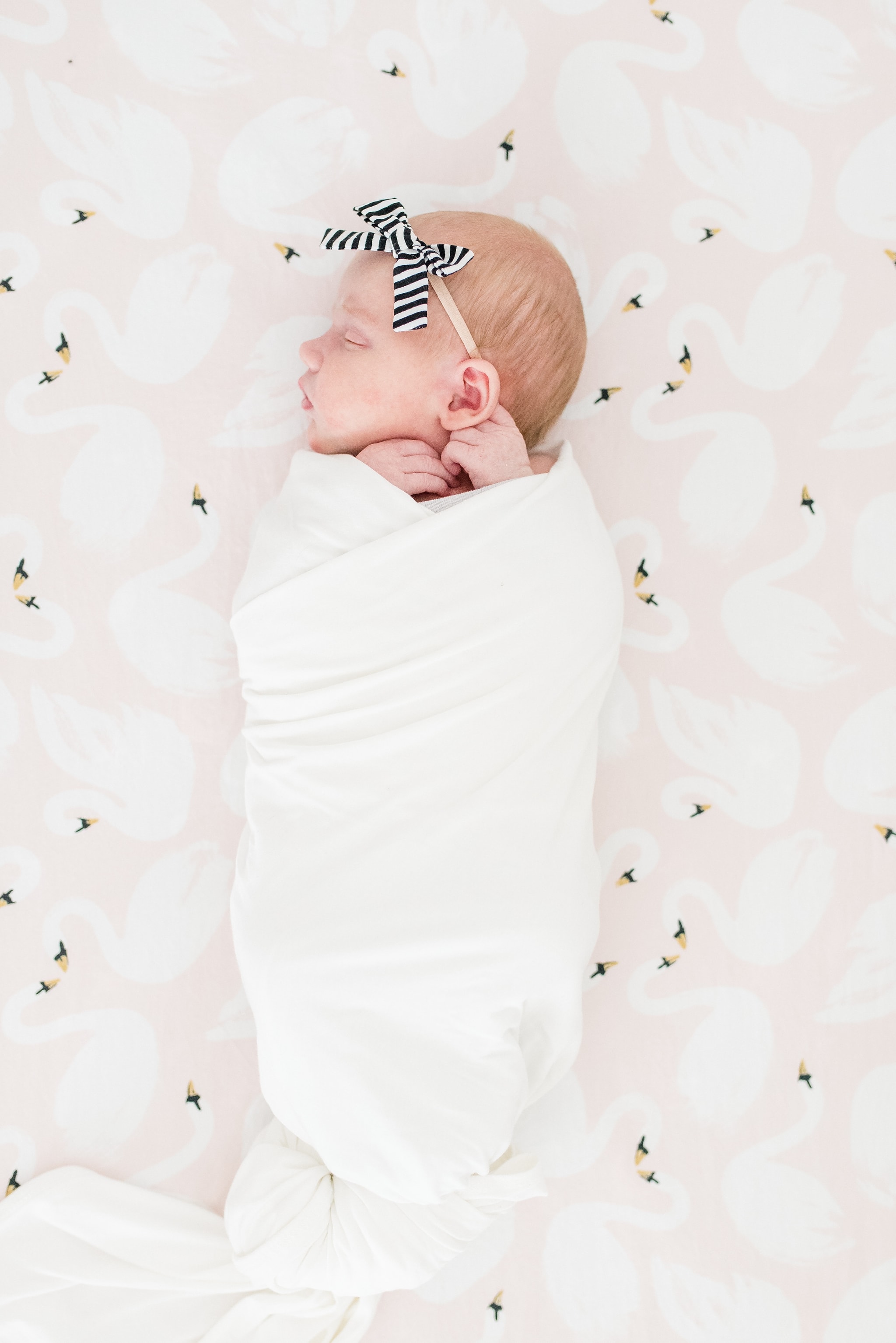 Des Moines Lifestyle Newborn Session