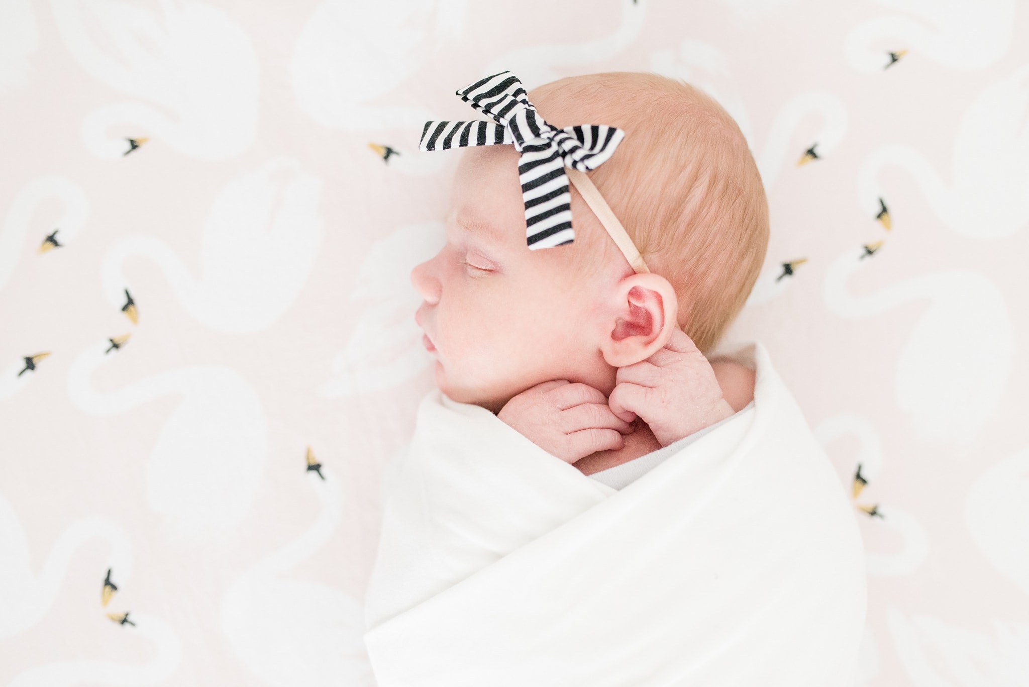 Des Moines Lifestyle Newborn Session