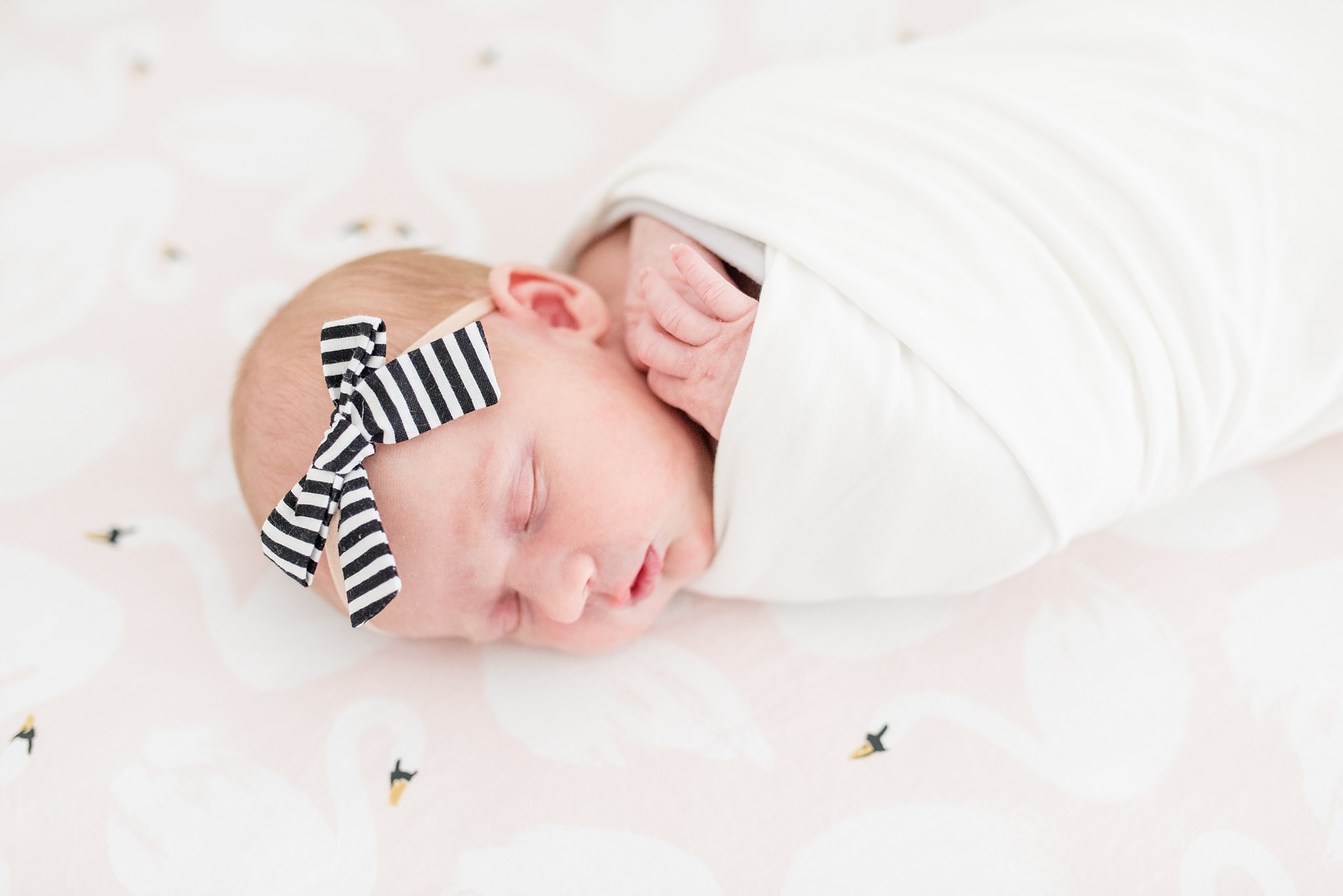 Des Moines Lifestyle Newborn Session