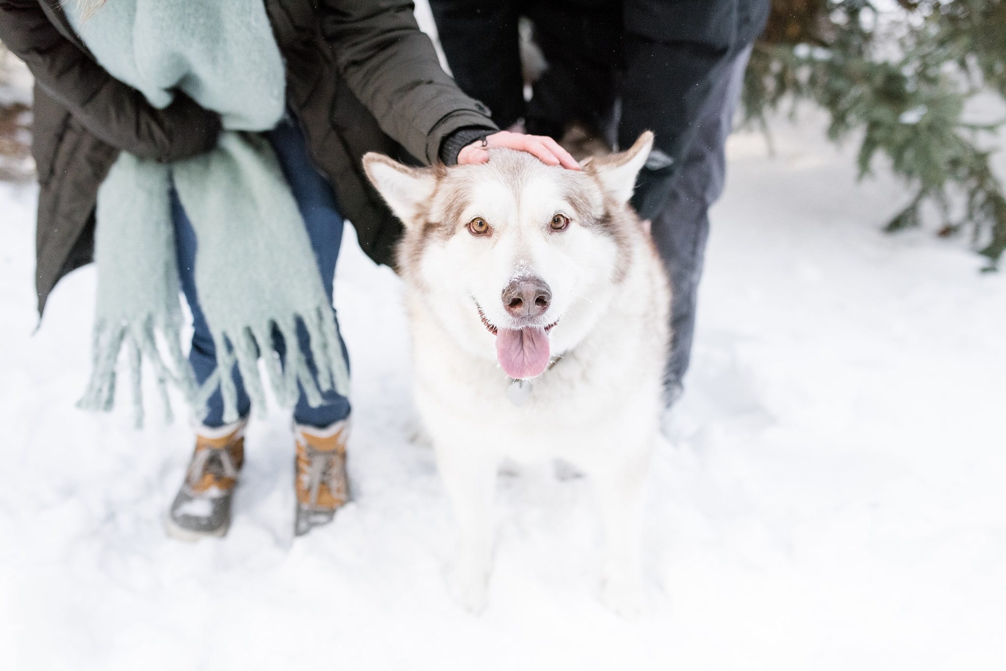 Des Moines Engagement Photographer