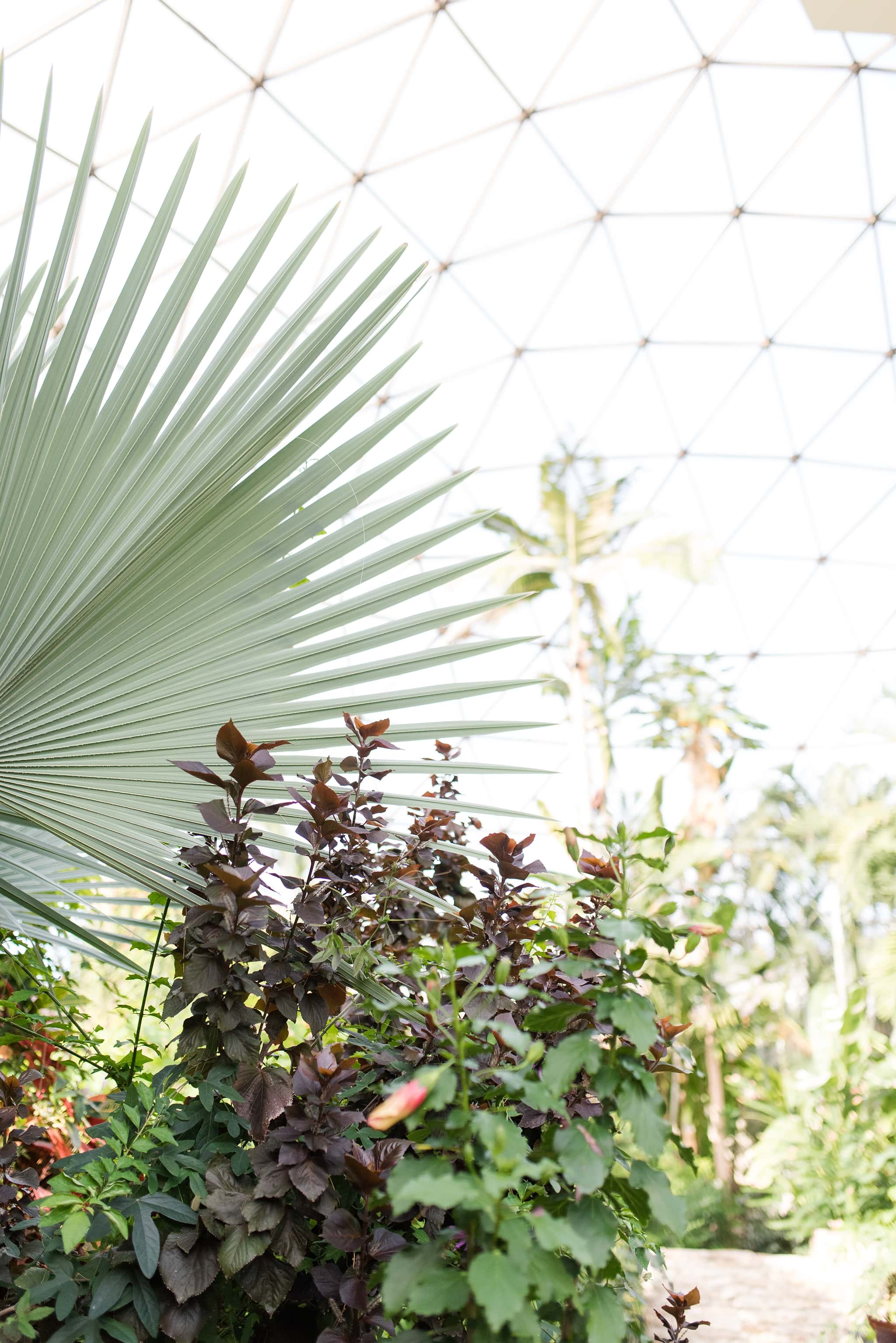 Wedding at the Des Moines Botanical Center