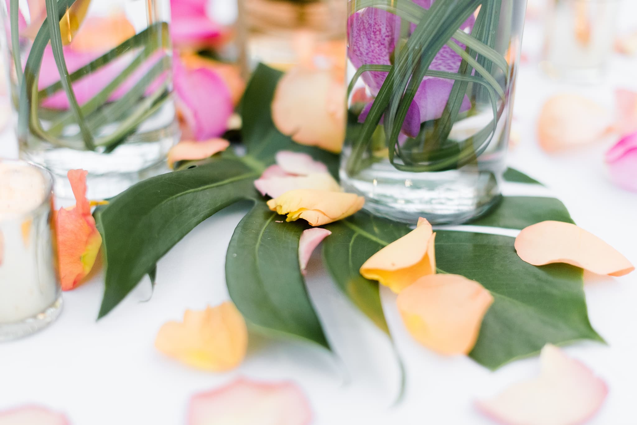 Wedding at the Des Moines Botanical Center