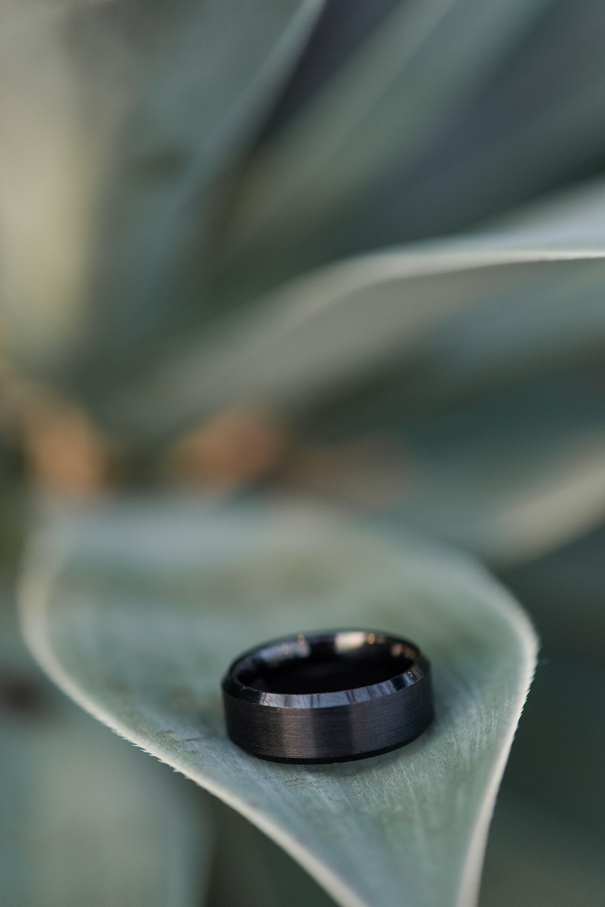 Wedding at the Des Moines Botanical Center